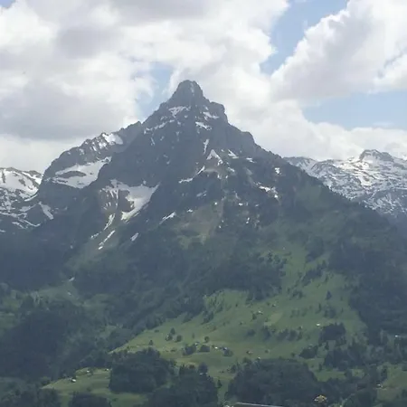 Schaefli מלון 2*