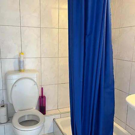Schaefli Амден