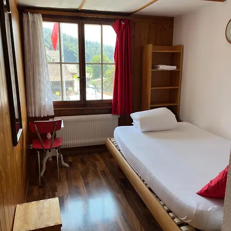 Hotel Schaefli