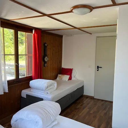 Hotel Schaefli 2*