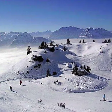 Schaefli