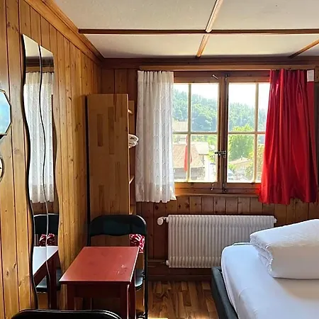 Hotel Schaefli
