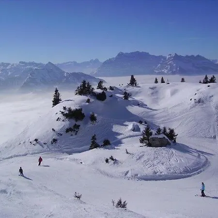 Schaefli