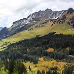 Schäfli 2*