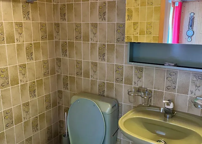 فندق شافلي امدن