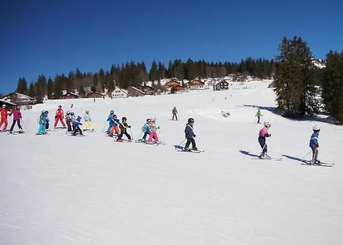 شافلي فندق امدن